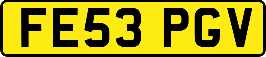 FE53PGV