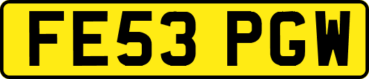 FE53PGW