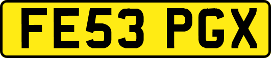 FE53PGX