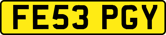 FE53PGY