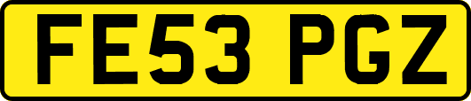 FE53PGZ