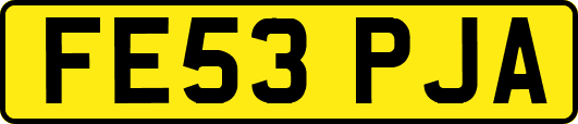 FE53PJA