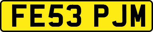 FE53PJM
