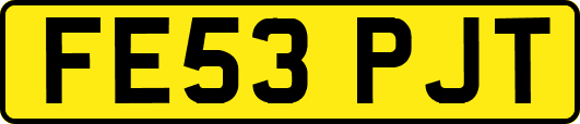FE53PJT