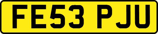 FE53PJU