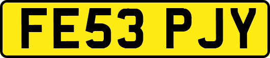 FE53PJY
