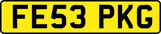 FE53PKG