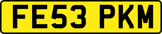 FE53PKM