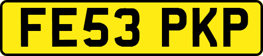 FE53PKP