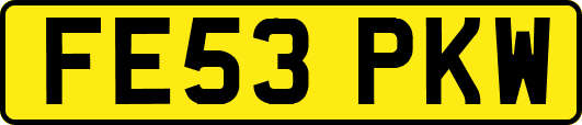 FE53PKW