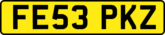 FE53PKZ