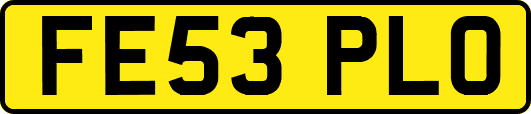 FE53PLO