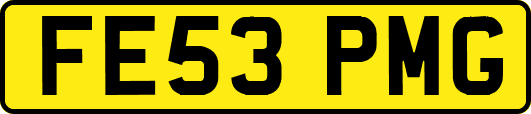 FE53PMG