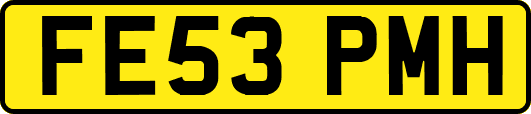 FE53PMH