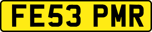 FE53PMR