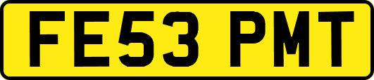 FE53PMT