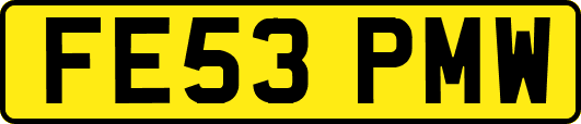 FE53PMW