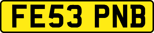 FE53PNB