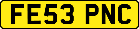 FE53PNC