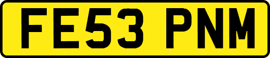 FE53PNM