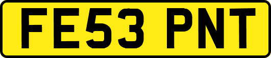 FE53PNT