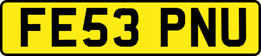 FE53PNU