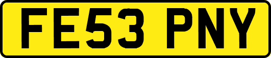 FE53PNY