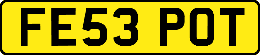 FE53POT