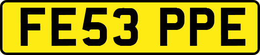 FE53PPE