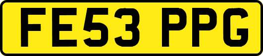 FE53PPG