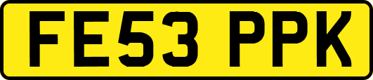 FE53PPK