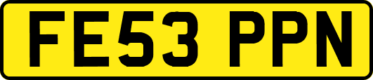 FE53PPN