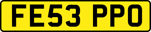 FE53PPO