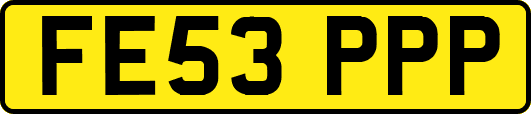 FE53PPP
