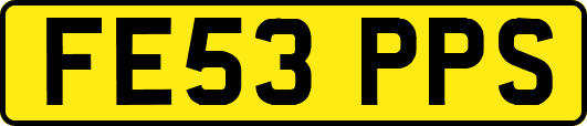 FE53PPS