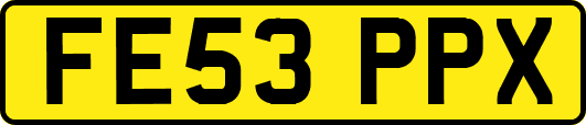 FE53PPX