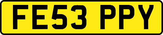 FE53PPY