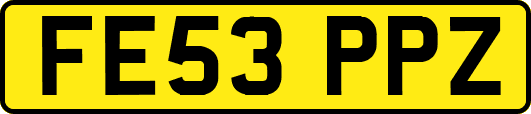 FE53PPZ