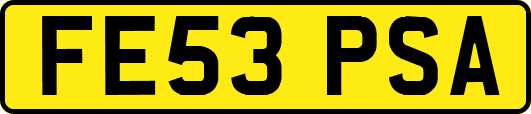 FE53PSA