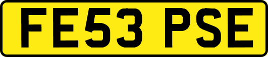 FE53PSE