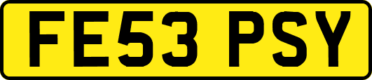FE53PSY