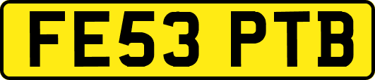 FE53PTB