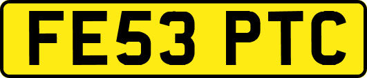 FE53PTC