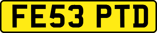 FE53PTD