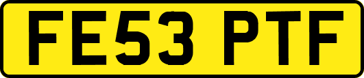 FE53PTF