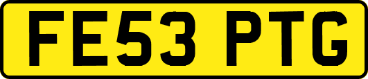 FE53PTG