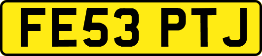 FE53PTJ