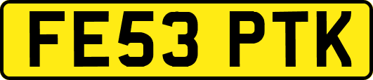 FE53PTK