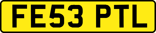 FE53PTL