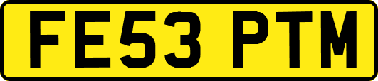 FE53PTM